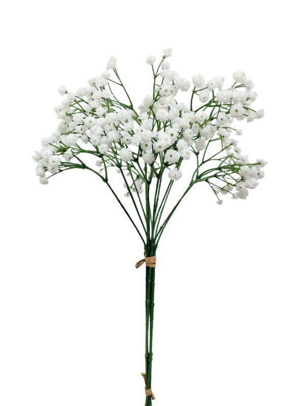 Handtouch Gypsophila