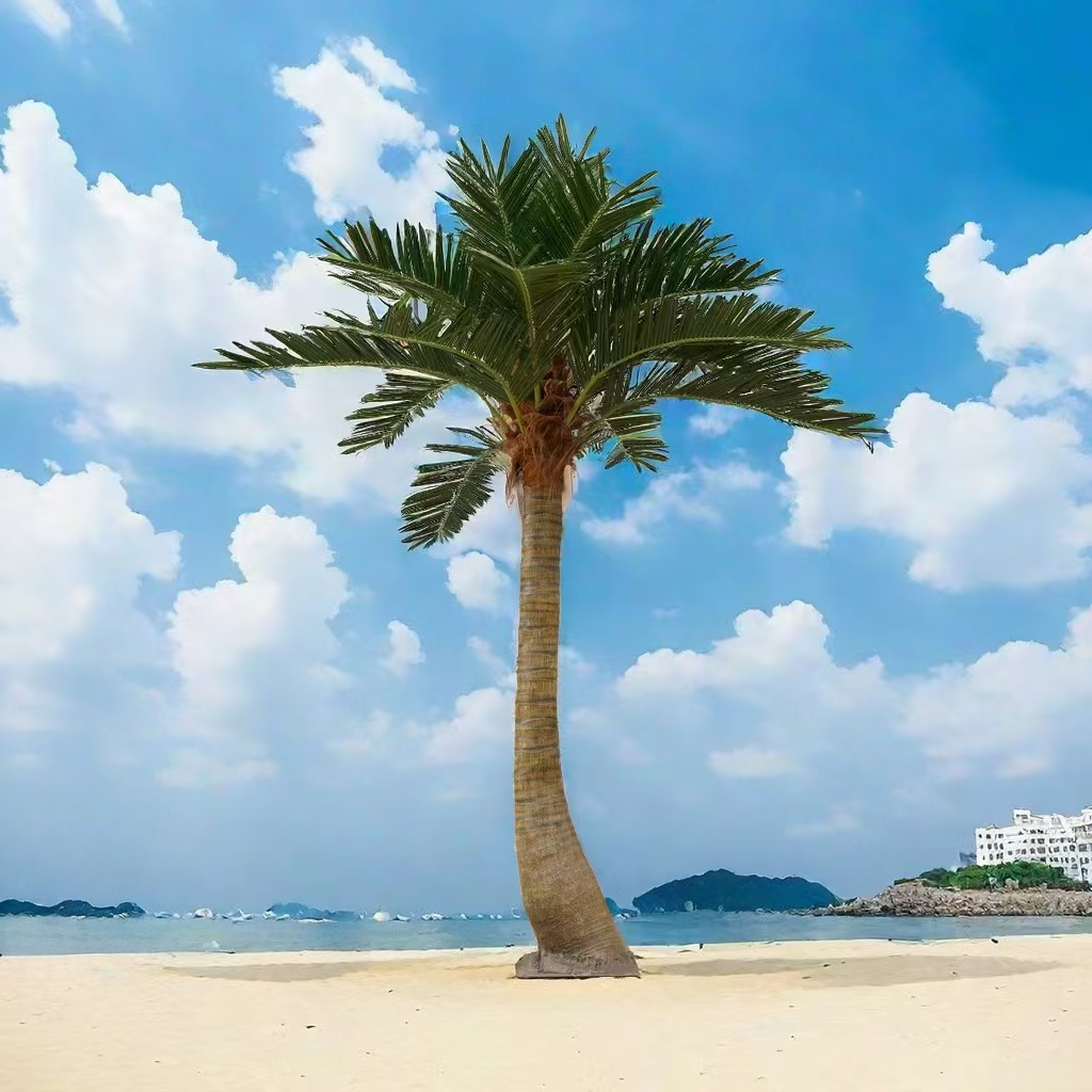 Coconut tree
