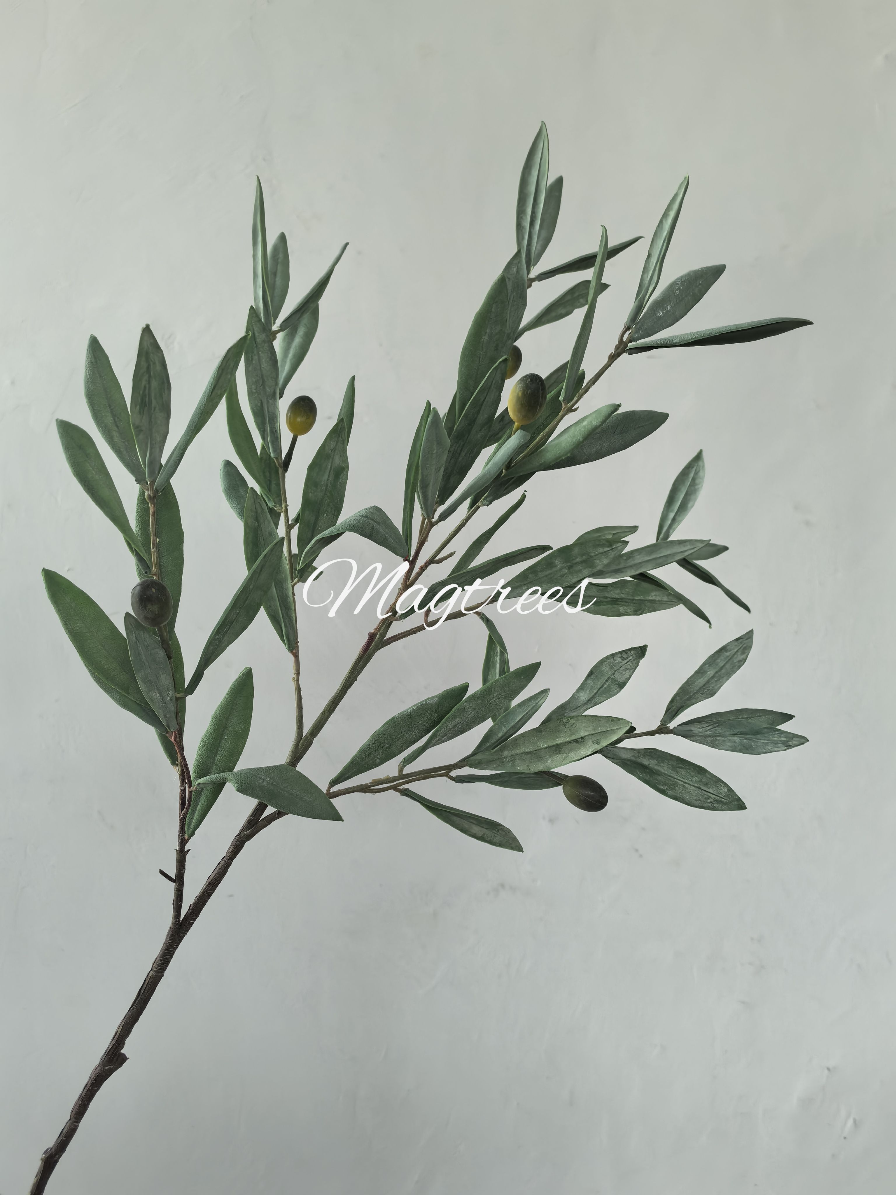 Fire-retardant Olive