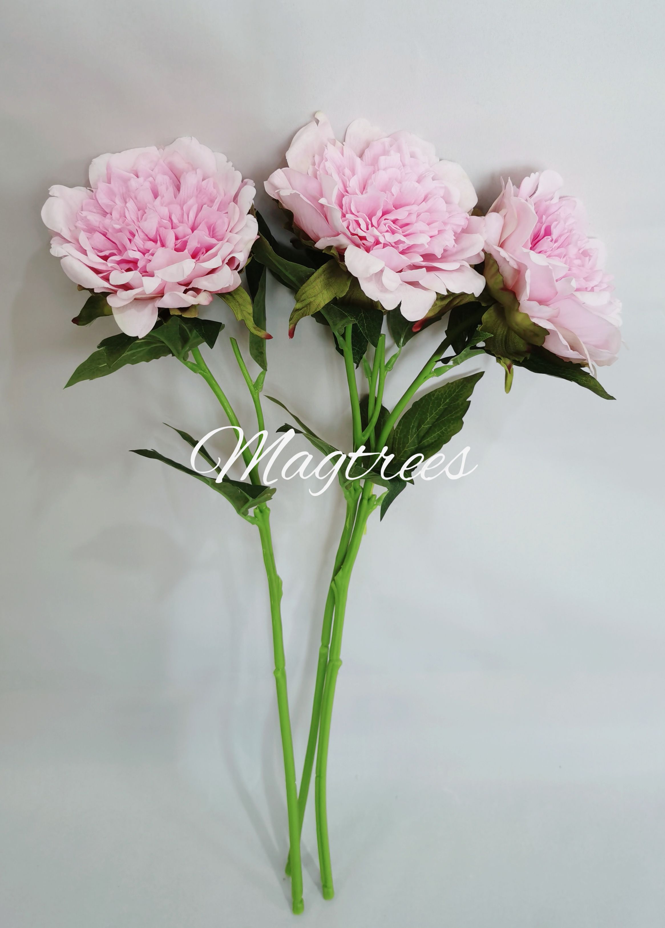 Peony