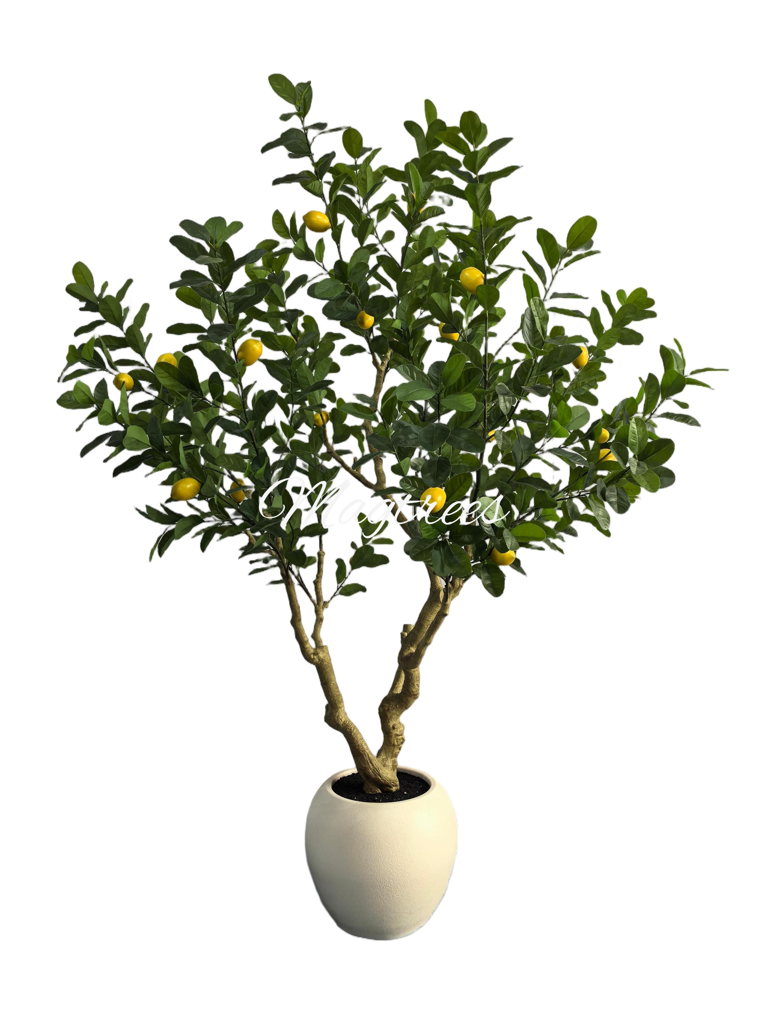 Cleaning & Maintenance for Realtouch Flowers & Plants