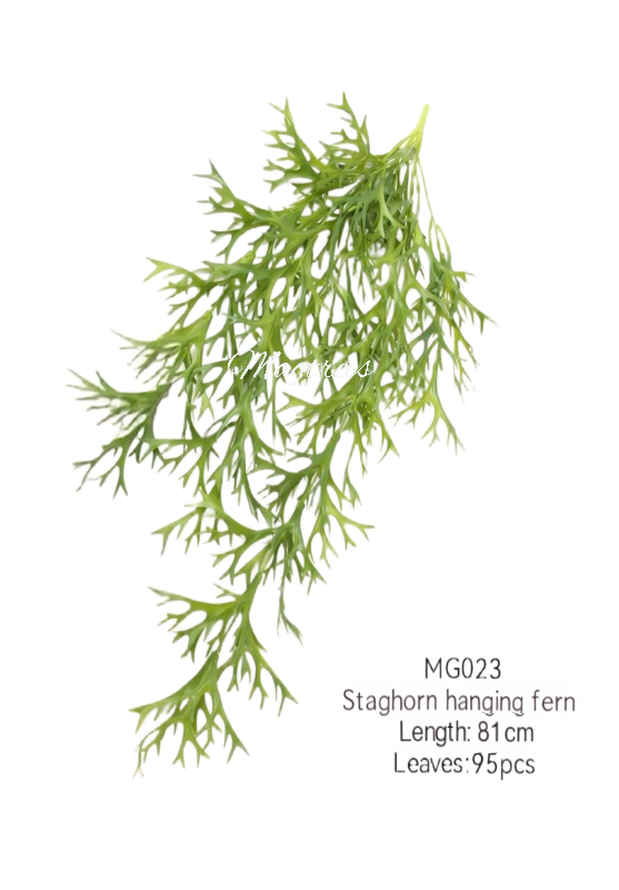 Staghorn Hangings