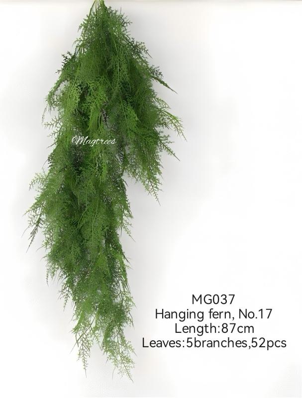 Hanging Ferns